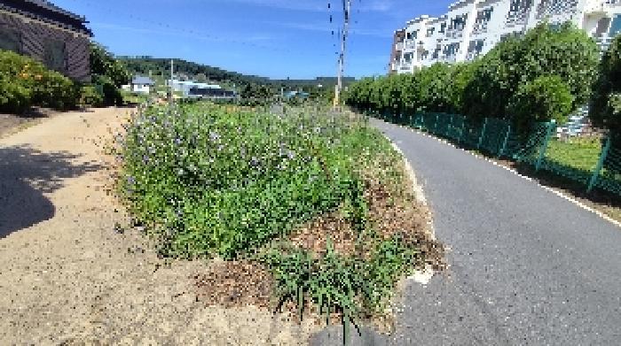 2025타경15846 법원경매 사진5 | 충남 보령시 임야 경매