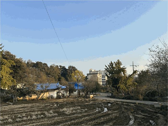 법원경매 2025타경42828 사진3 | 평택시 포승읍 내기리 75 대지 경매