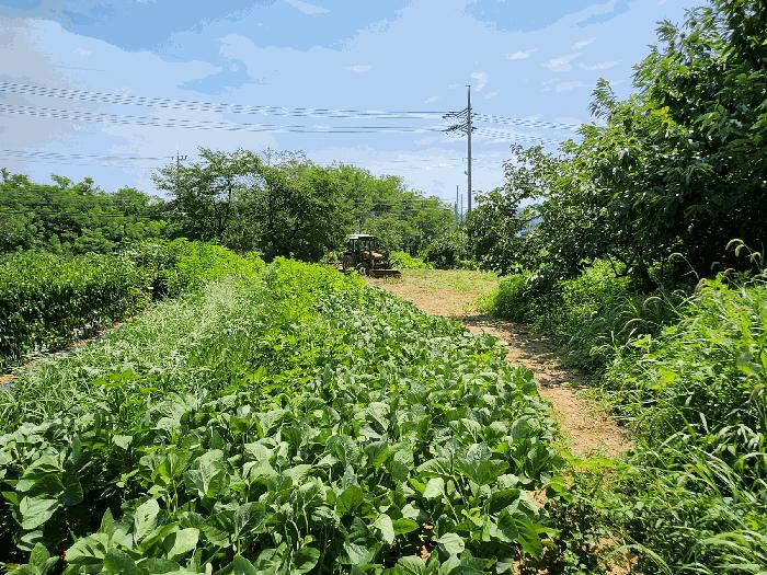 충청남도 보령시 천북면 하만리 962-8 법원경매 물건 대표사진