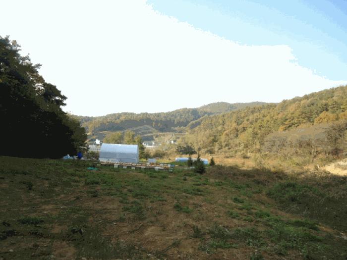 경기도 안성시 금광면 장죽리 산6-9 법원경매 물건 대표사진