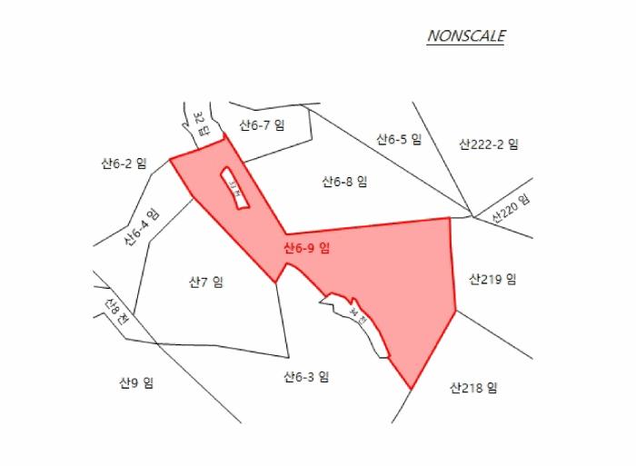법원경매 2025타경42844 사진14 | 안성시 금광면 장죽리 임야 경매
