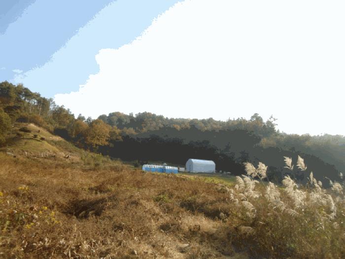 법원경매 2025타경42844 사진2 | 안성시 금광면 장죽리 임야 경매