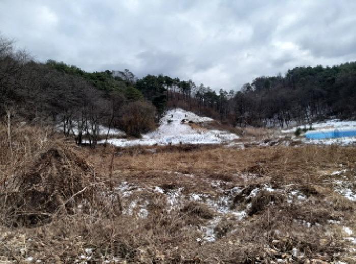 법원경매 2025타경42844 사진5 | 안성시 금광면 장죽리 임야 경매