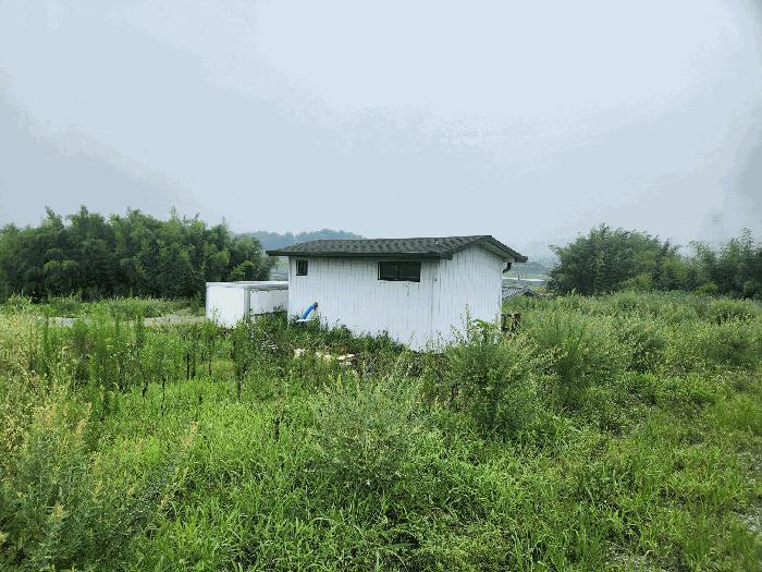 2025타경15889 법원경매 사진4 | 충남 예산군 대지,임야,전답 경매