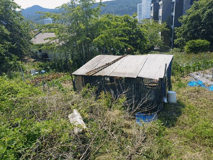 법원경매 2025타경564 사진5 | 부산 기장군 기장읍 대변리 161 답 경매