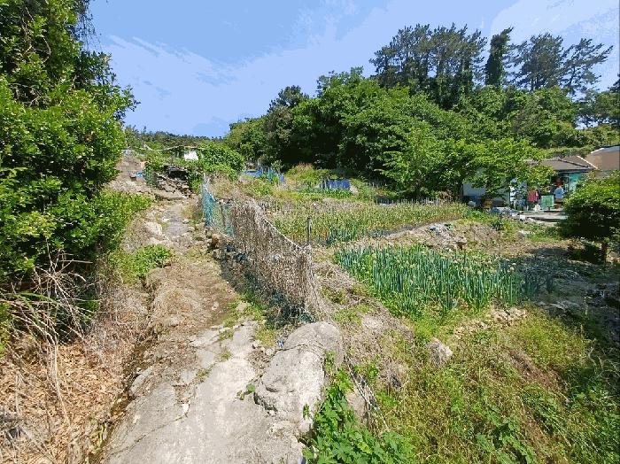법원경매 2025타경564 사진8 | 부산 기장군 기장읍 대변리 161 답 경매