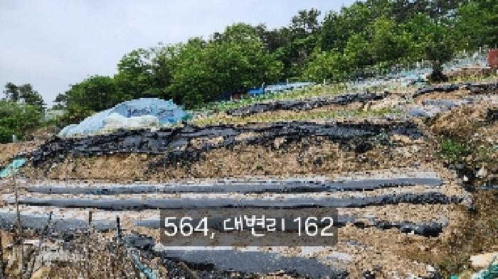 법원경매 2025타경564 사진9 | 부산 기장군 기장읍 대변리 162 답 경매