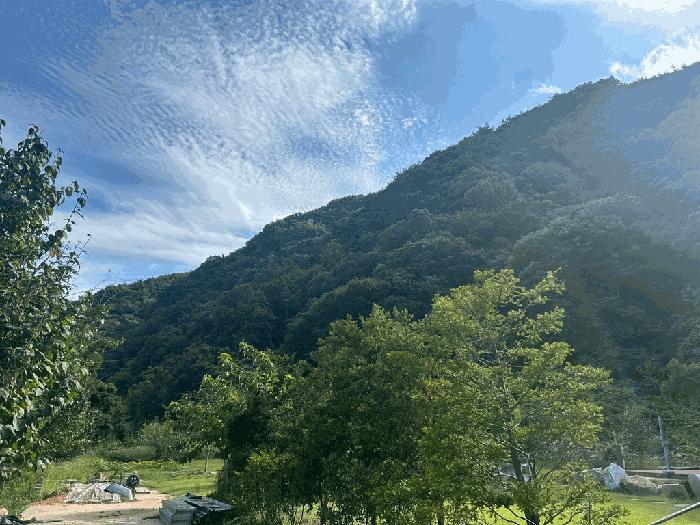 충남 서산시 운산면 고풍리 산91-6 임야 사진 3