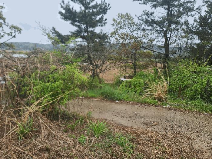 2025타경51226 법원경매 사진5 | 충남 태안군 전 경매