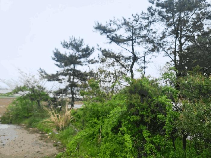 2025타경51226 법원경매 사진7 | 충남 태안군 전 경매