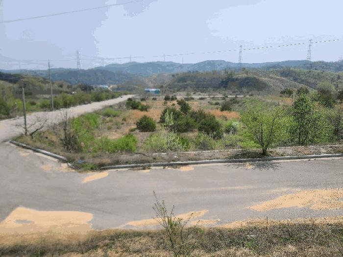충청남도 서산시 운산면 고산리 423-19 법원경매 물건 대표사진