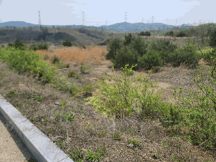 2025타경51252 법원경매 사진2 | 충남 서산시 임야 경매