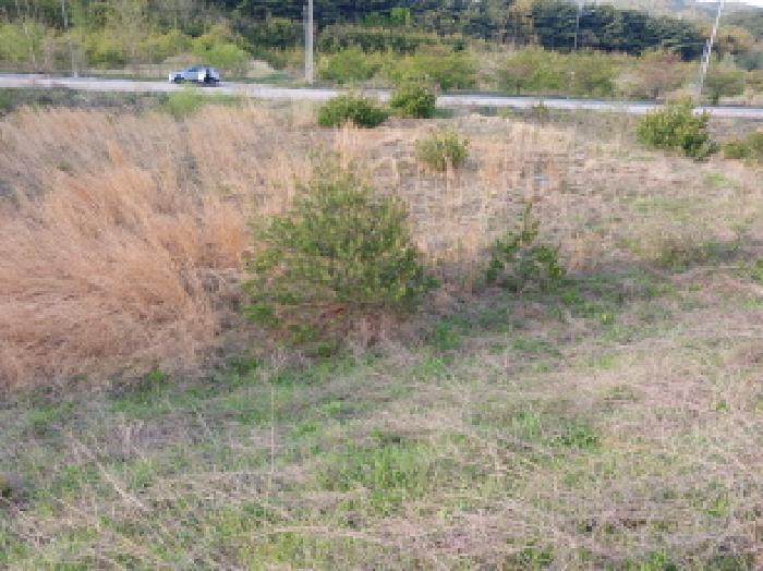 2025타경51252 법원경매 사진7 | 충남 서산시 임야 경매