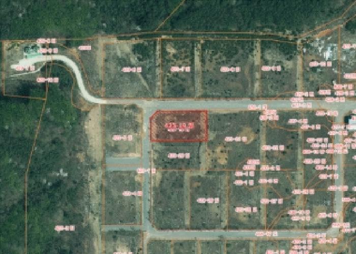 2025타경51252 법원경매 사진8 | 충남 서산시 임야 경매