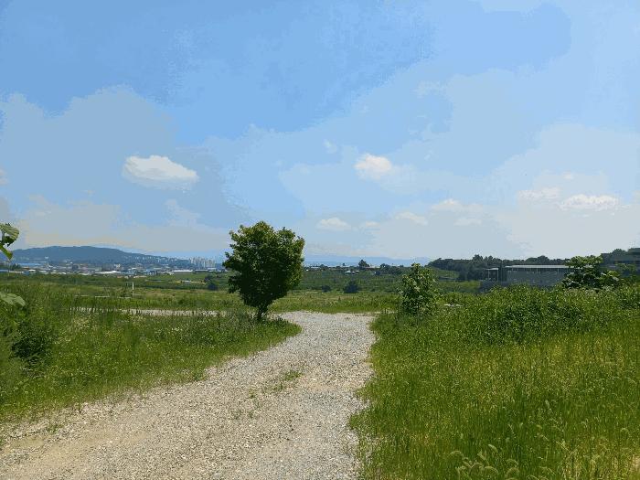 충청남도 천안시 성환읍 송덕리 196-10 법원경매 물건 대표사진