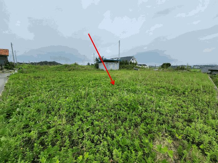 2025타경51590 법원경매 사진13 | 충남 당진시 전 경매