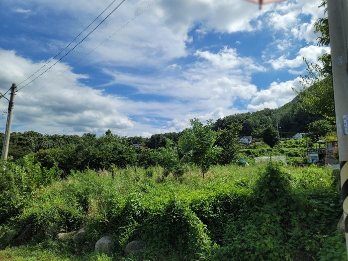 2024타경6887 법원경매 사진6 | 울산 울주군 답 경매
