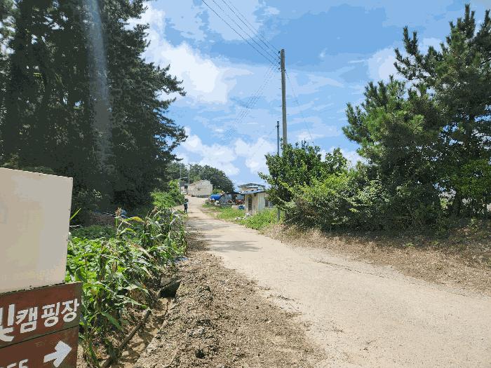 2025타경51608 법원경매 사진3 | 충남 태안군 임야 경매