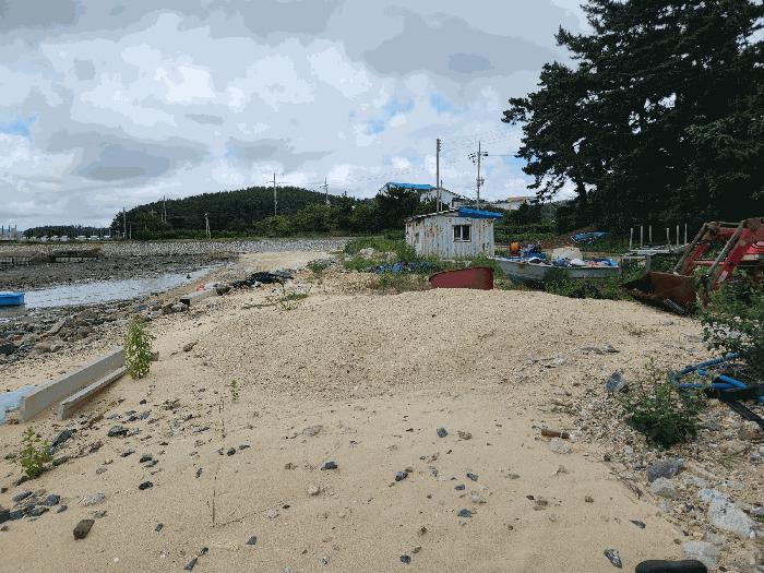 2025타경51608 법원경매 사진7 | 충남 태안군 임야 경매