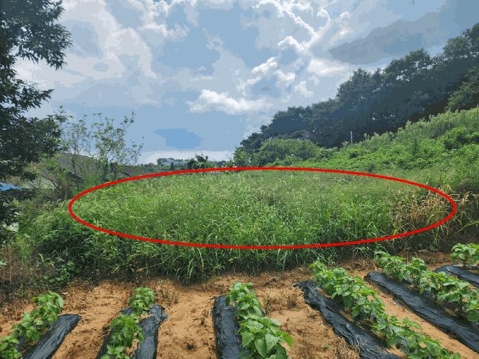 2025타경51610 법원경매 사진17 | 충남 당진시 전 경매