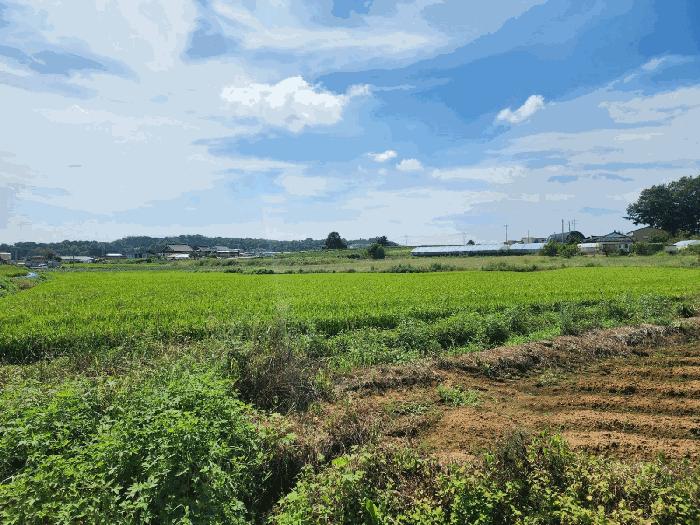 2025타경51660 법원경매 사진4 | 충남 당진시 전 경매