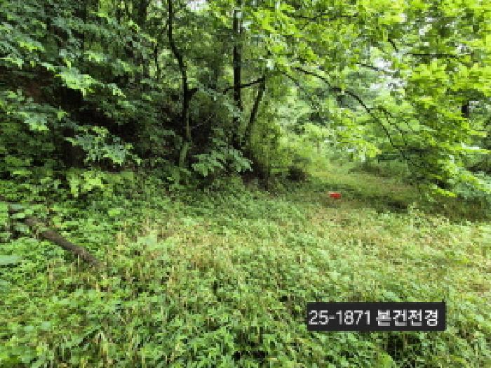 법원경매 2025타경1871 사진3 | 부산 강서구 송정동 1019 묘지 경매