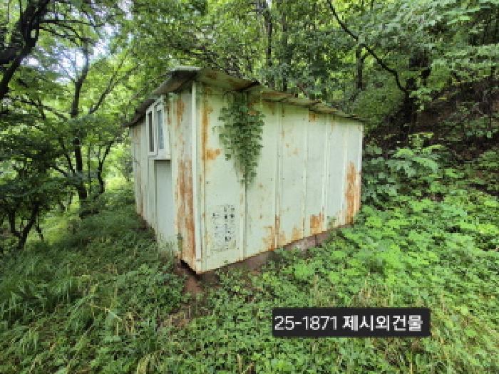 법원경매 2025타경1871 사진5 | 부산 강서구 송정동 1019 묘지 경매