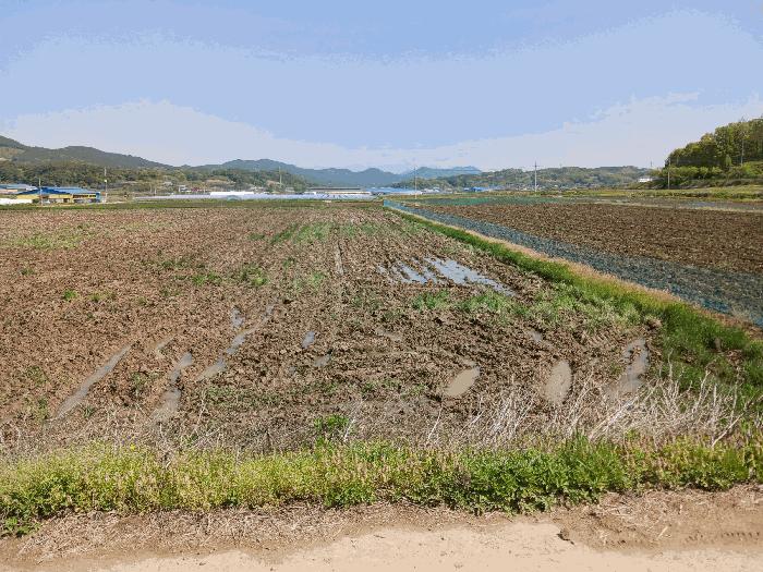 2025타경20263 법원경매 사진3 | 충남 청양군 답 경매