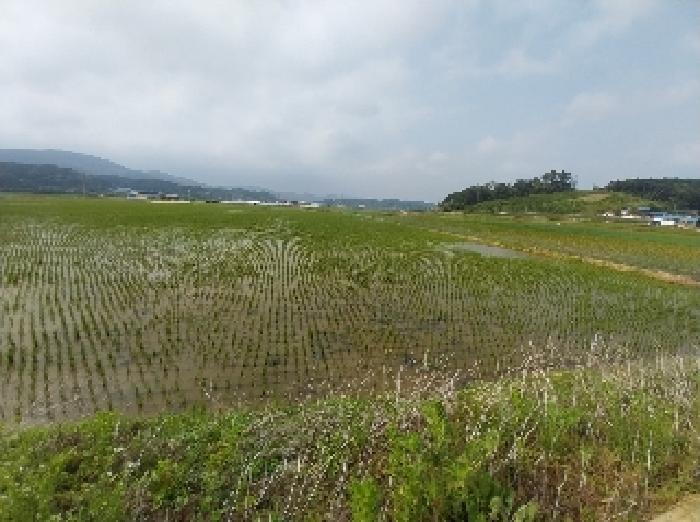 2025타경20263 법원경매 사진5 | 충남 청양군 답 경매