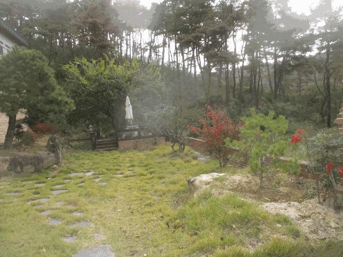 법원경매 2025타경508 사진3 | 경주시 석장동 769-38 주택건물 경매