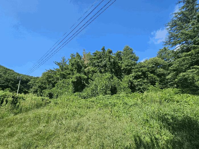 경상북도 경주시 현곡면 무과리 산37-1 법원경매 물건 대표사진