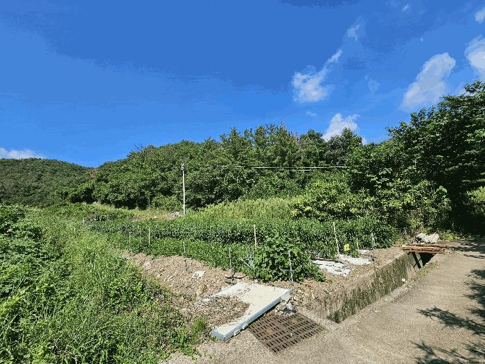 법원경매 2025타경10641 사진3 | 경주시 현곡면 무과리 임야 경매