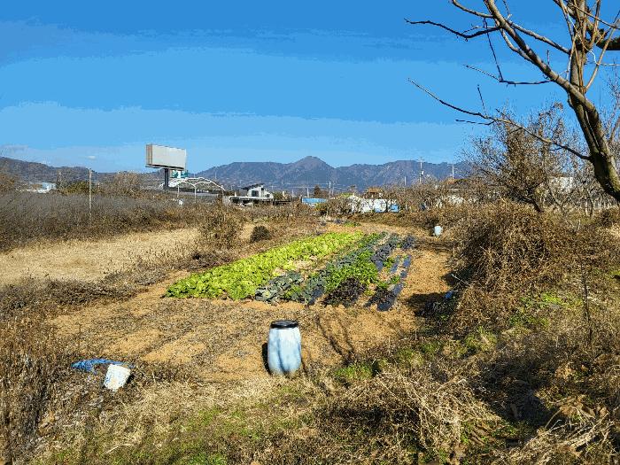전라남도 장성군 남면 분향리 554 법원경매 물건 대표사진