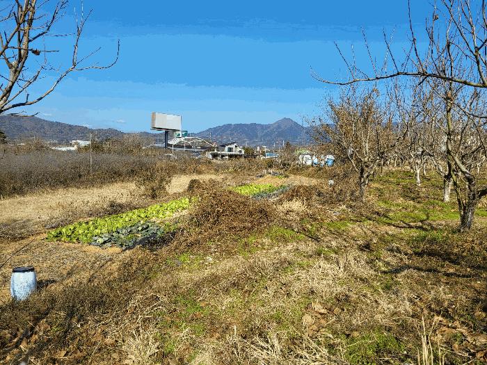 2025타경34507 법원경매 사진2 | 전남 장성군 전 경매