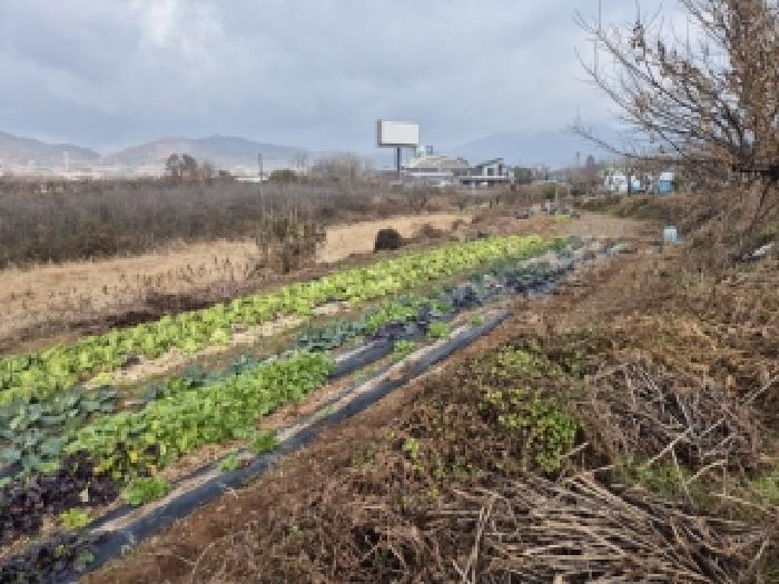 2025타경34507 법원경매 사진3 | 전남 장성군 전 경매