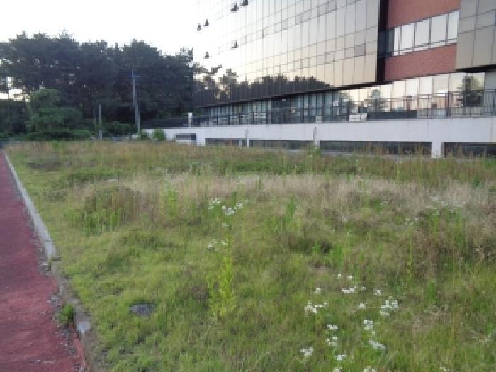 2025타경1394 법원경매 사진6 | 제주 제주시 대지 경매