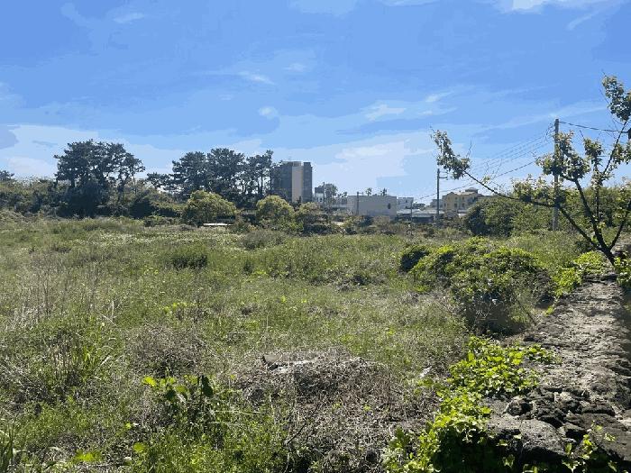 2025타경6082 법원경매 사진2 | 제주 제주시 전 경매
