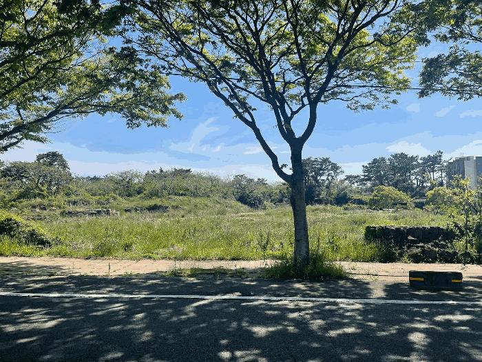 2025타경6082 법원경매 사진5 | 제주 제주시 전 경매