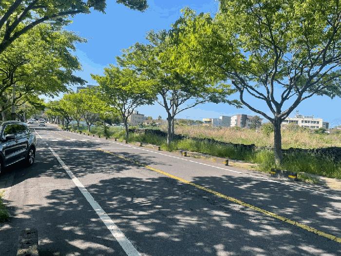 2025타경6082 법원경매 사진8 | 제주 제주시 전 경매