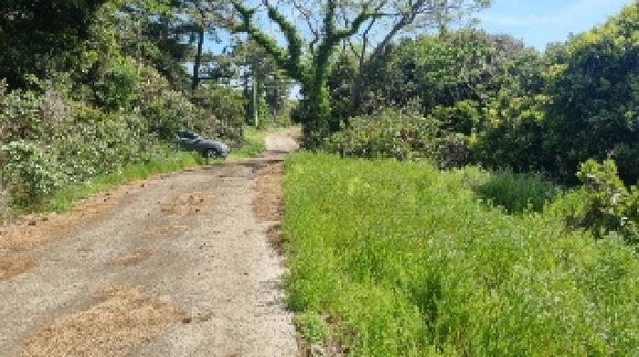 2025타경7704 법원경매 사진7 | 제주 제주시 임야 경매