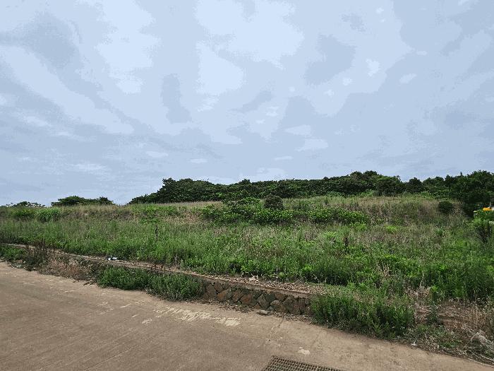 2025타경8309 법원경매 사진6 | 제주 서귀포시 임야 경매