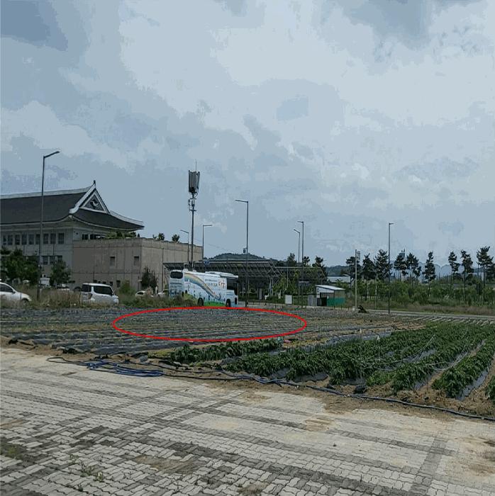 법원경매 2025타경5301 사진3 | 예천군 호명읍 금능리 761 대지 경매