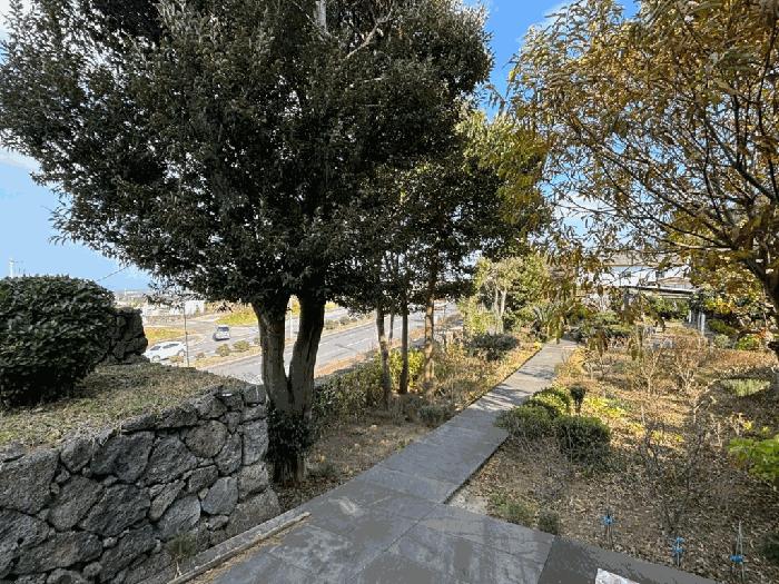 2025타경9155 법원경매 사진3 | 제주 제주시 임야 경매