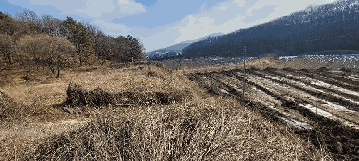 법원경매 2024타경677 사진7 | 이천시 신둔면 용면리 49 전답 경매