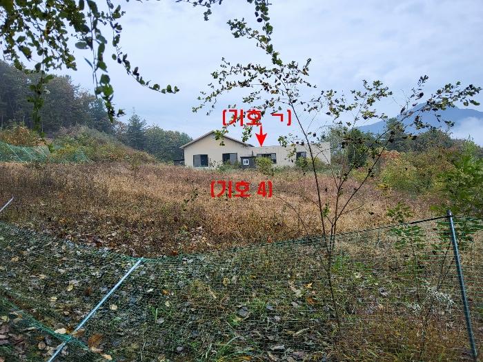 2024타경83919 법원경매 사진3 | 경기 가평군 창고 경매