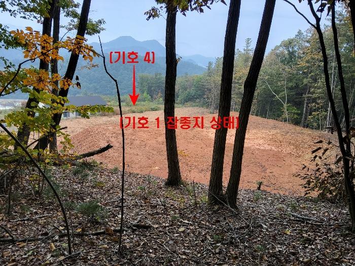 2024타경83919 법원경매 사진5 | 경기 가평군 창고 경매