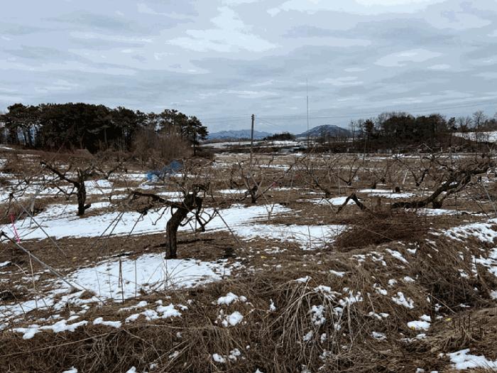 경기도 이천시 장호원읍 이황리 397-1 법원경매 물건 대표사진