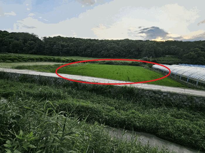 경기도 여주시 세종대왕면 왕대리 947-13 법원경매 물건 대표사진
