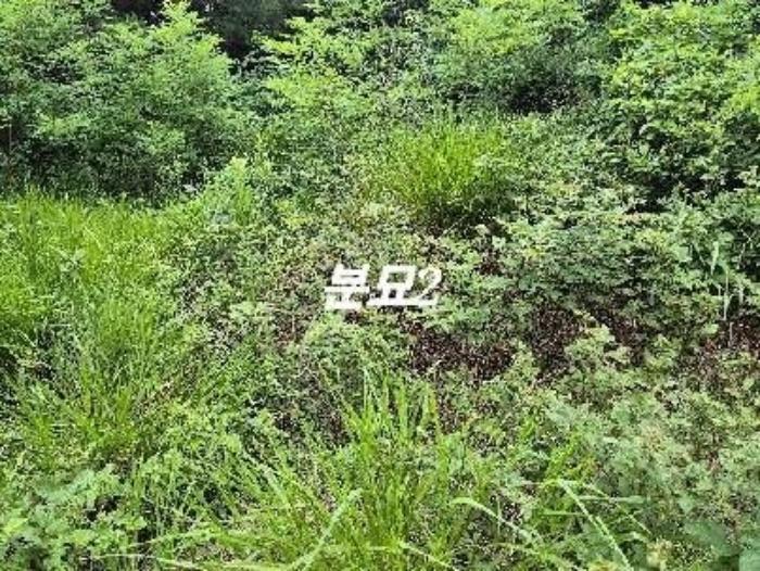 법원경매 2024타경3874 사진10 | 여주시 세종대왕면 왕대리 947-13 답 경매
