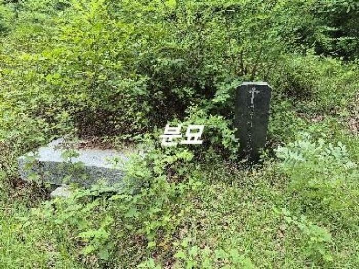 법원경매 2024타경3874 사진11 | 여주시 세종대왕면 왕대리 947-13 답 경매